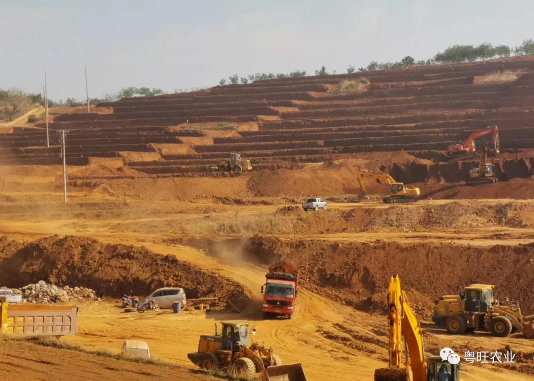 20190429127068.png 20190429127068.png