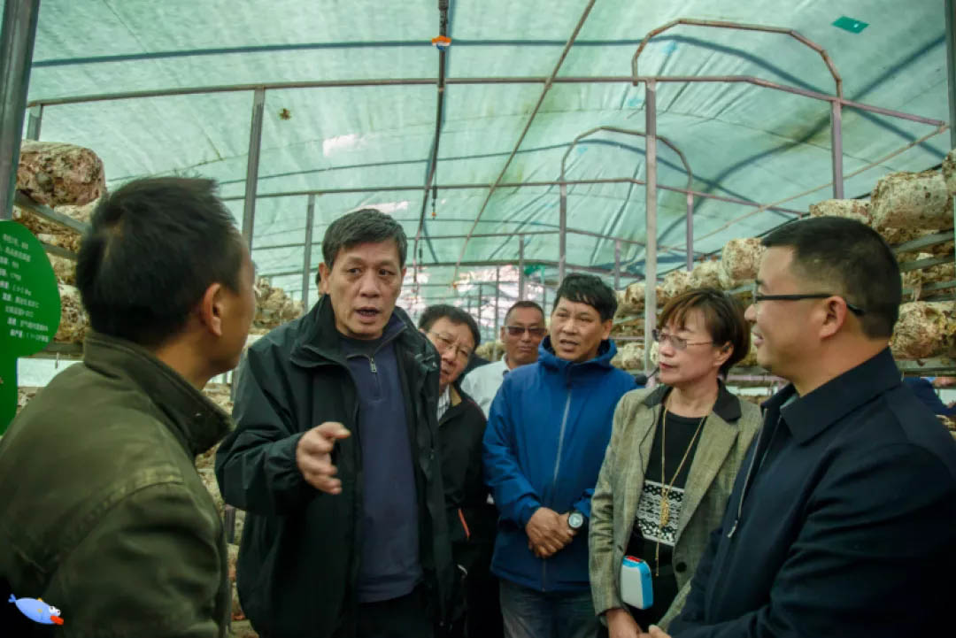 微信圖片_20201125095426.jpg 微信圖片_20201125095426.jpg