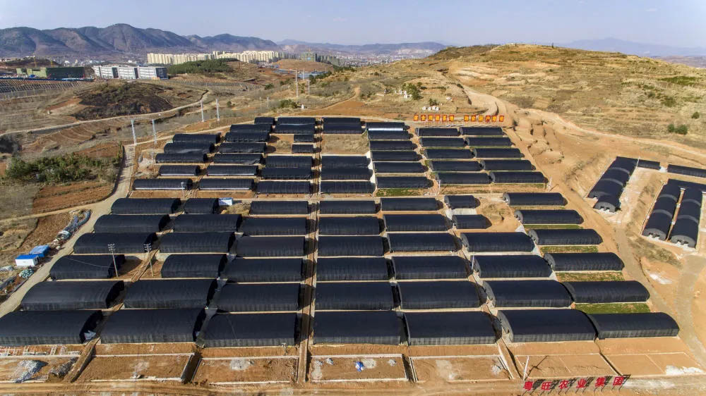 微信圖片_20201125095529.jpg 微信圖片_20201125095529.jpg